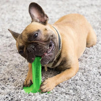 Woofwash / Brosse à dents à mâcher pour chien