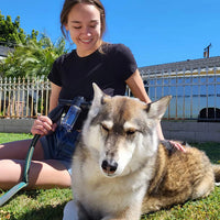 Pistolet WOOFWASH Nettoyage facile pour animaux
