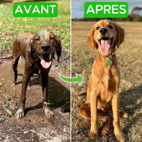 Pistolet WOOFWASH Nettoyage facile pour animaux