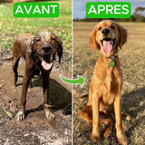Pistolet WOOFWASH Nettoyage facile pour animaux