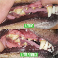 Woofwash / Brosse à dents à mâcher pour chien