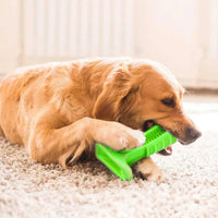 Woofwash / Brosse à dents à mâcher pour chien